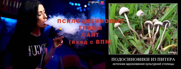 крисы Козельск