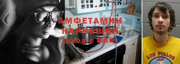 крисы Козельск