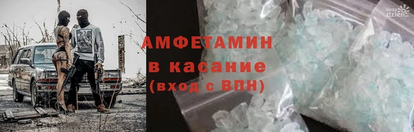 крисы Козельск