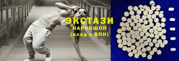 крисы Козельск
