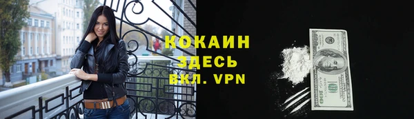 крисы Козельск