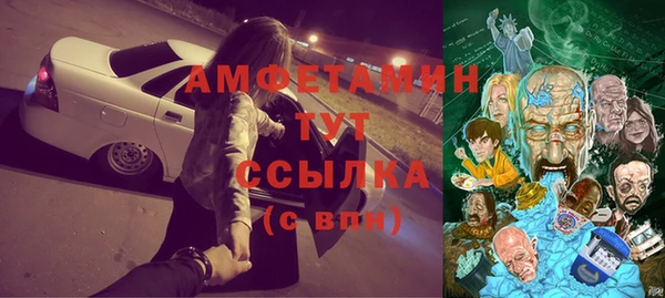 крисы Козельск