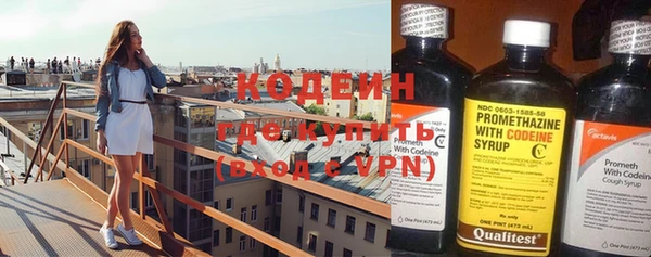 крисы Козельск