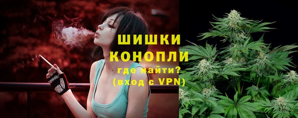 крисы Козельск