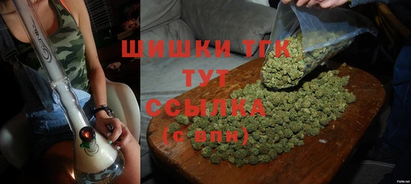 крисы Козельск