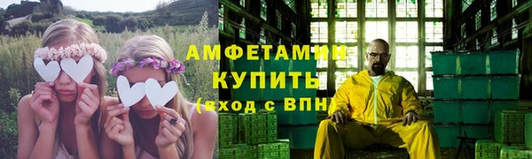 крисы Козельск