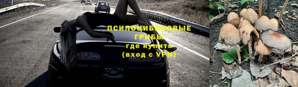 крисы Козельск