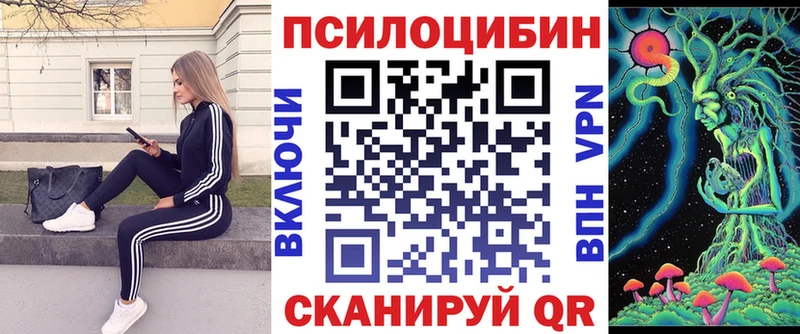 Псилоцибиновые грибы мицелий mega сайт Шахунья наркота